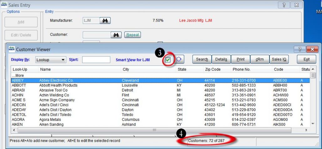 Sales Entry - Cust Viewer 2